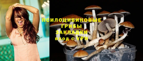 СК Магас
