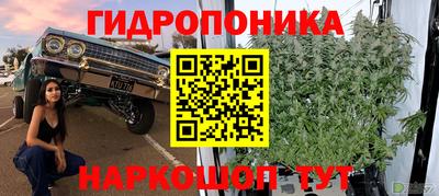 винт Котовск