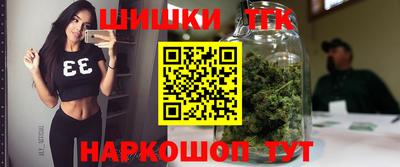 винт Котовск