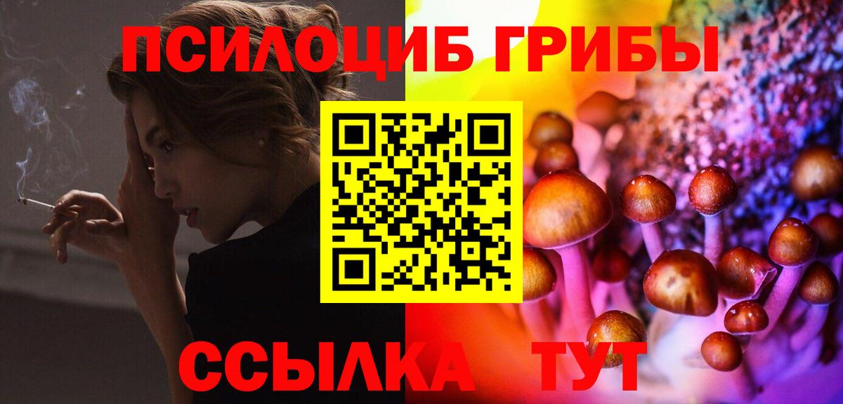 Псилоцибиновые грибы прущие грибы Южно-Сахалинск