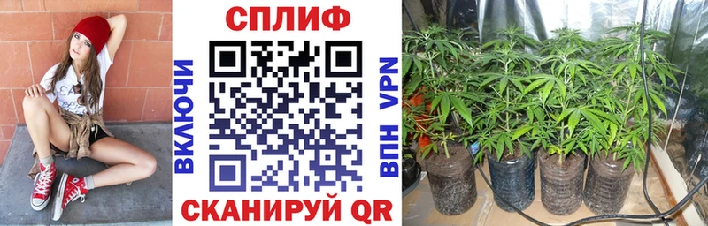 Бошки марихуана индика  Южно-Сахалинск 